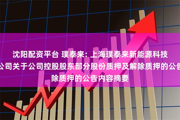 沈阳配资平台 璞泰来: 上海璞泰来新能源科技股份有限公司关于公司控股股东部分股份质押及解除质押的公告内容摘要