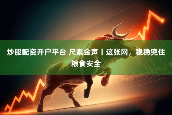 炒股配资开户平台 尺素金声丨这张网，稳稳兜住粮食安全
