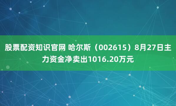 股票配资知识官网 哈尔斯（002615）8月27日主力资金净卖出1016.20万元