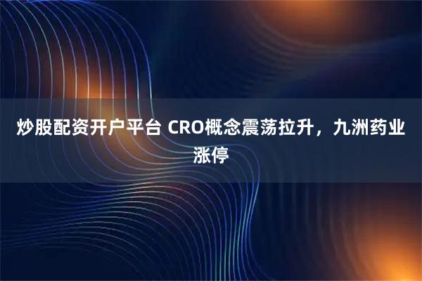 炒股配资开户平台 CRO概念震荡拉升，九洲药业涨停